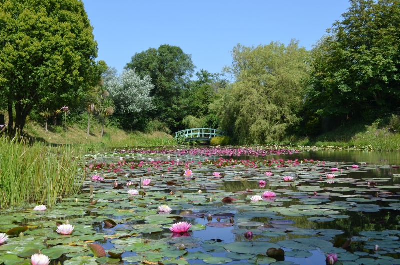 Bennetts Water Gardens